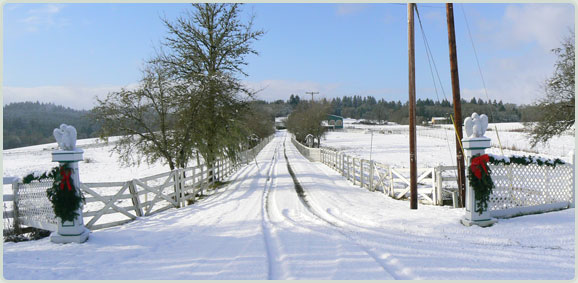 Welcome to Airlie Farm Inn